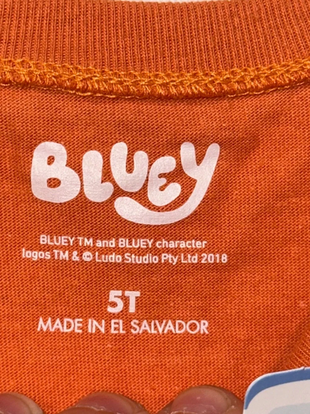Old Navy Halloween Disney Bluey Boo Crew Bingo Lucky Honey T Tee Shirt NEW Sz 5T